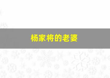 杨家将的老婆