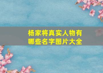 杨家将真实人物有哪些名字图片大全