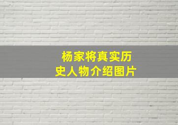 杨家将真实历史人物介绍图片