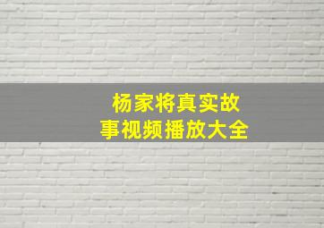 杨家将真实故事视频播放大全