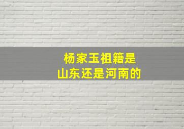 杨家玉祖籍是山东还是河南的