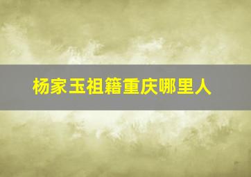 杨家玉祖籍重庆哪里人