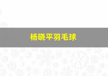 杨晓平羽毛球