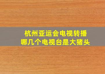 杭州亚运会电视转播哪几个电视台是大猪头