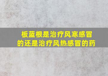 板蓝根是治疗风寒感冒的还是治疗风热感冒的药