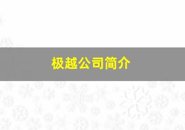 极越公司简介