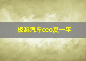 极越汽车ceo夏一平