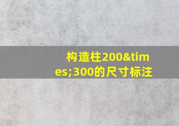 构造柱200×300的尺寸标注