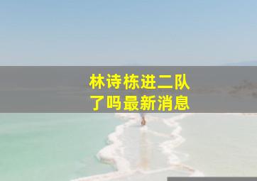 林诗栋进二队了吗最新消息