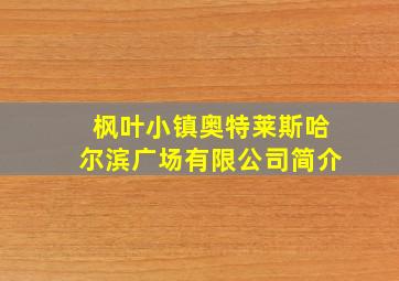 枫叶小镇奥特莱斯哈尔滨广场有限公司简介