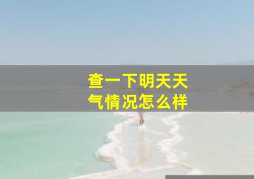 查一下明天天气情况怎么样