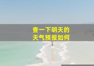 查一下明天的天气预报如何