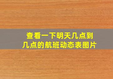 查看一下明天几点到几点的航班动态表图片