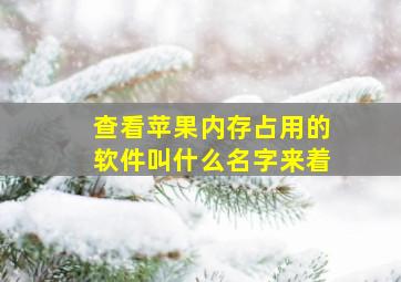 查看苹果内存占用的软件叫什么名字来着