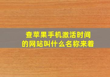 查苹果手机激活时间的网站叫什么名称来着