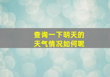 查询一下明天的天气情况如何呢