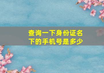 查询一下身份证名下的手机号是多少