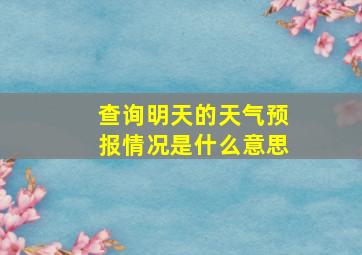 查询明天的天气预报情况是什么意思