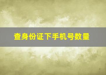 查身份证下手机号数量