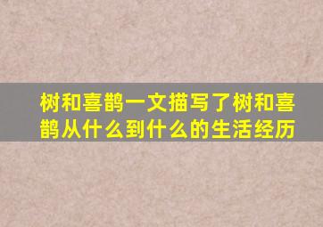 树和喜鹊一文描写了树和喜鹊从什么到什么的生活经历