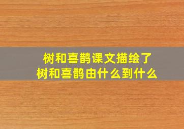 树和喜鹊课文描绘了树和喜鹊由什么到什么