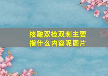 核酸双检双测主要指什么内容呢图片