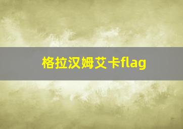 格拉汉姆艾卡flag