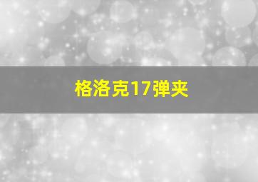 格洛克17弹夹