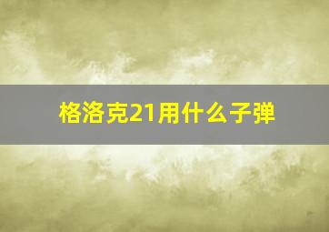 格洛克21用什么子弹