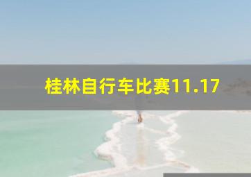 桂林自行车比赛11.17