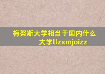 梅努斯大学相当于国内什么大学llzxmjoizz