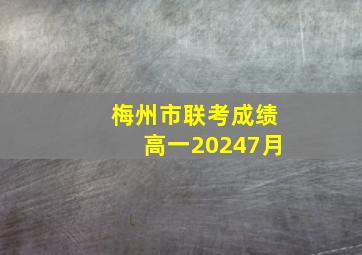 梅州市联考成绩高一20247月