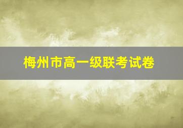 梅州市高一级联考试卷