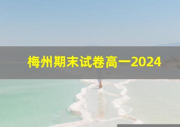 梅州期末试卷高一2024