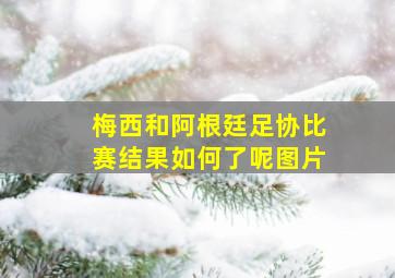 梅西和阿根廷足协比赛结果如何了呢图片