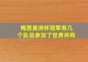 梅西美洲杯冠军有几个队伍参加了世界杯吗