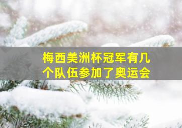 梅西美洲杯冠军有几个队伍参加了奥运会