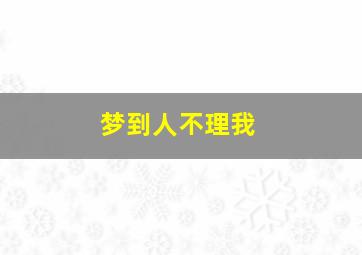 梦到人不理我