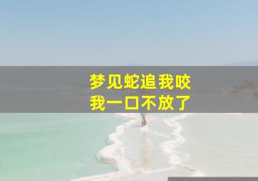 梦见蛇追我咬我一口不放了