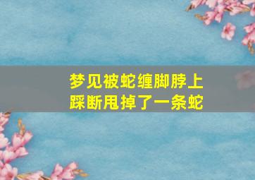 梦见被蛇缠脚脖上踩断甩掉了一条蛇