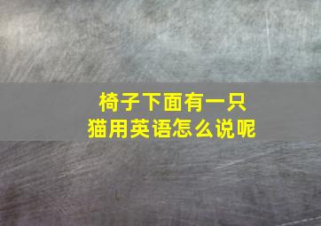 椅子下面有一只猫用英语怎么说呢