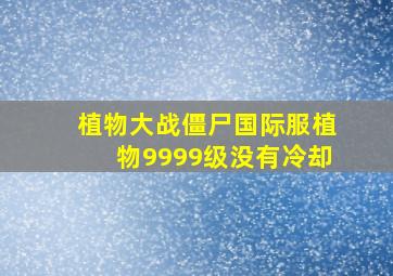 植物大战僵尸国际服植物9999级没有冷却