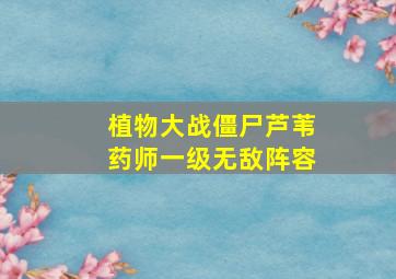 植物大战僵尸芦苇药师一级无敌阵容