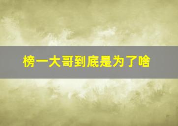 榜一大哥到底是为了啥