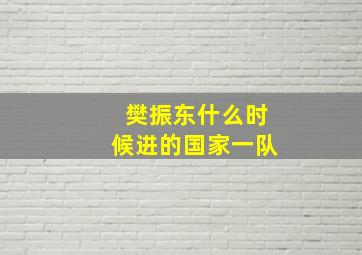 樊振东什么时候进的国家一队