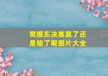 樊振东决赛赢了还是输了呢图片大全