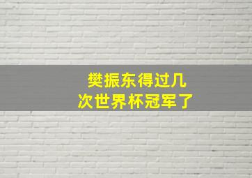 樊振东得过几次世界杯冠军了