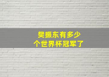 樊振东有多少个世界杯冠军了