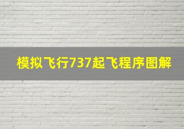 模拟飞行737起飞程序图解