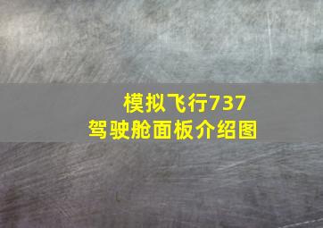 模拟飞行737驾驶舱面板介绍图